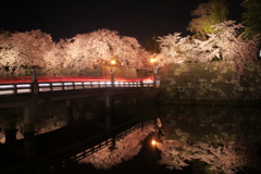 桜色の京橋