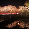 桜色の京橋