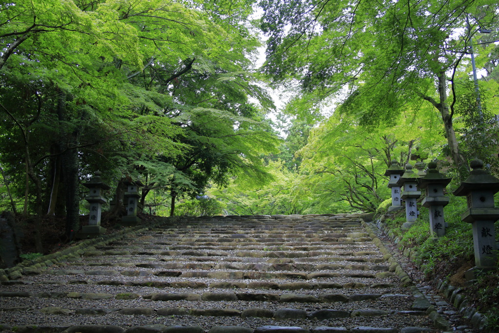 胡宮神社参道