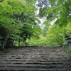胡宮神社参道