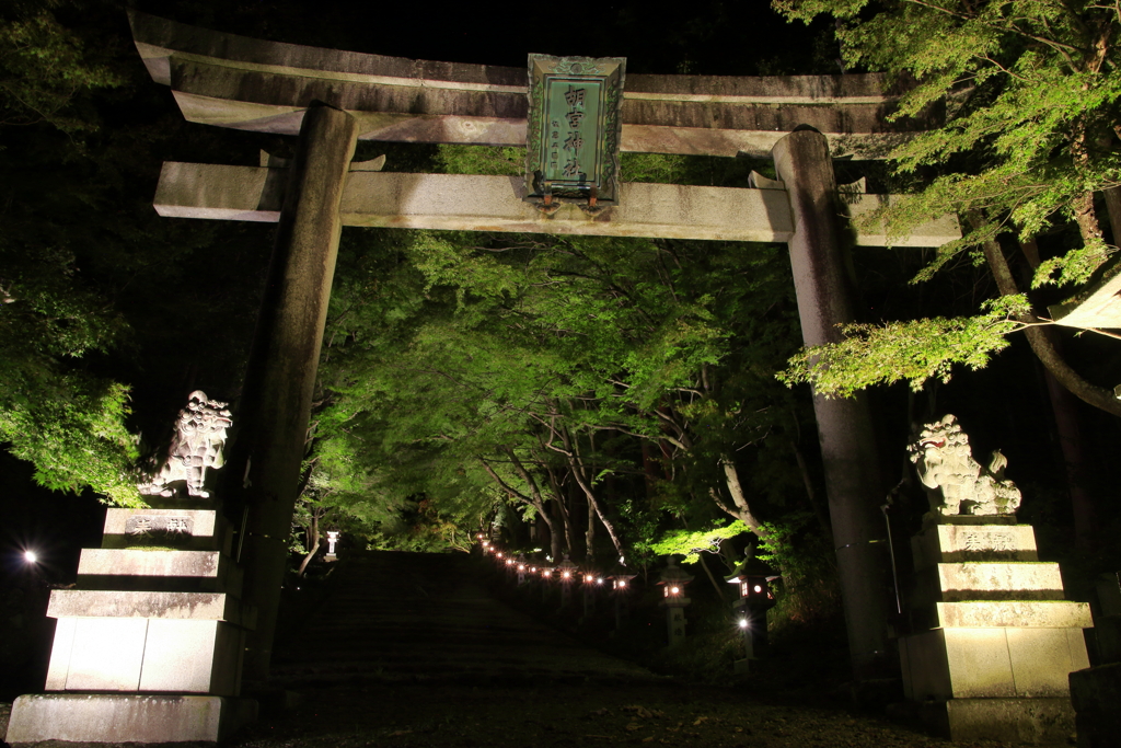 神あかり2019～胡宮神社