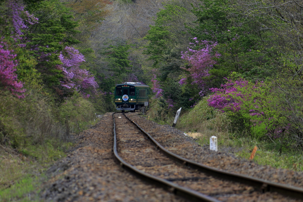 御伽の国行き小人の高原鉄道①