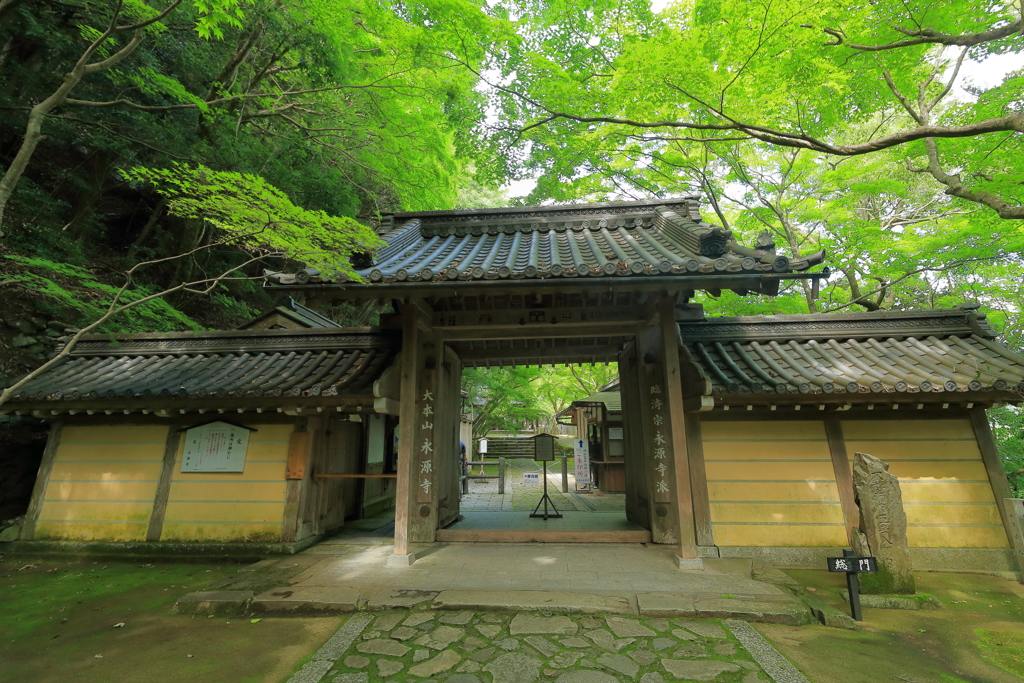 緑の総門