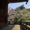 三井寺金堂より