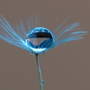 M's drops