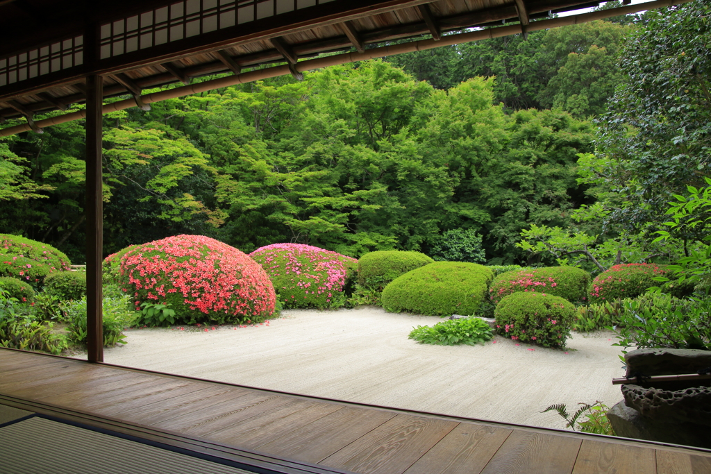 初夏の庭