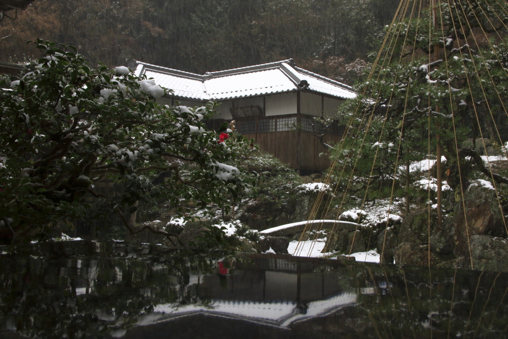 冬のBASARA庭園②