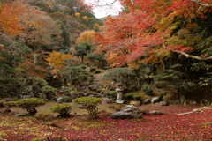 清瀧寺徳源院の秋～青龍の庭