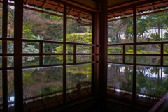 旧竹林院の春①
