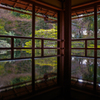 旧竹林院の春①