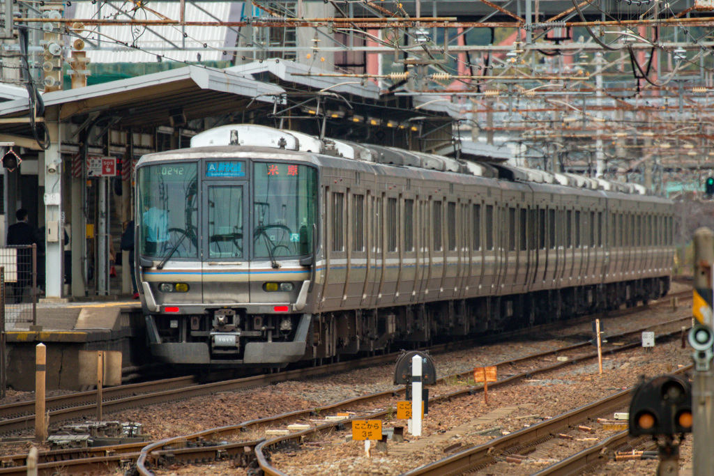 "Special Rapid Service"～新快速①