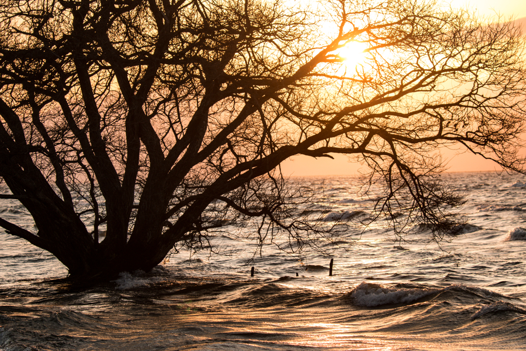 Mother Lake