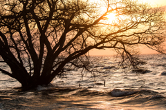 Mother Lake