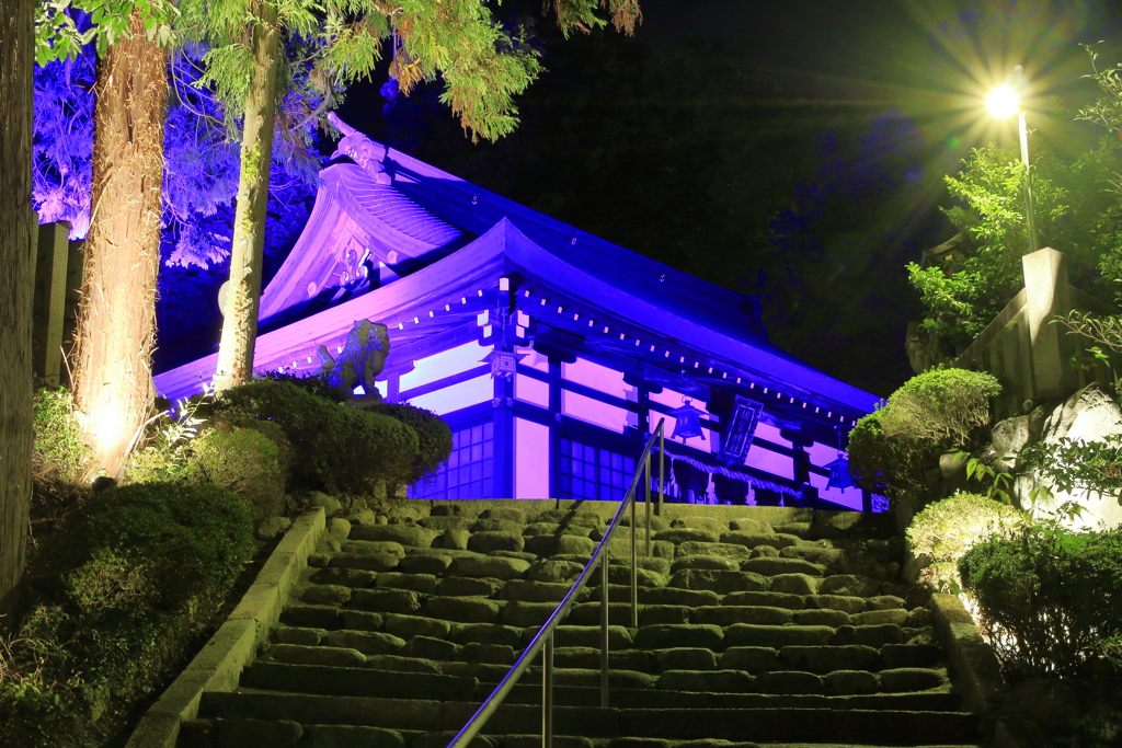 神あかり2019～紫の宮