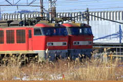 レッドサンダー待機中