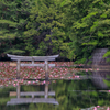 弁天池の沈み鳥居