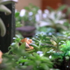 みずの森①