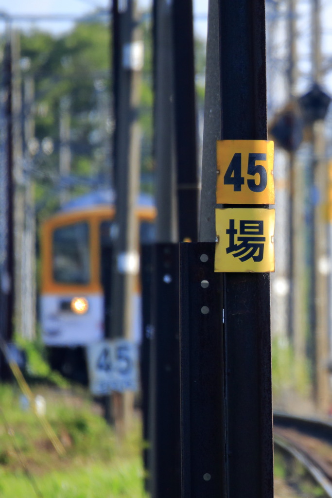 制限４５キロ