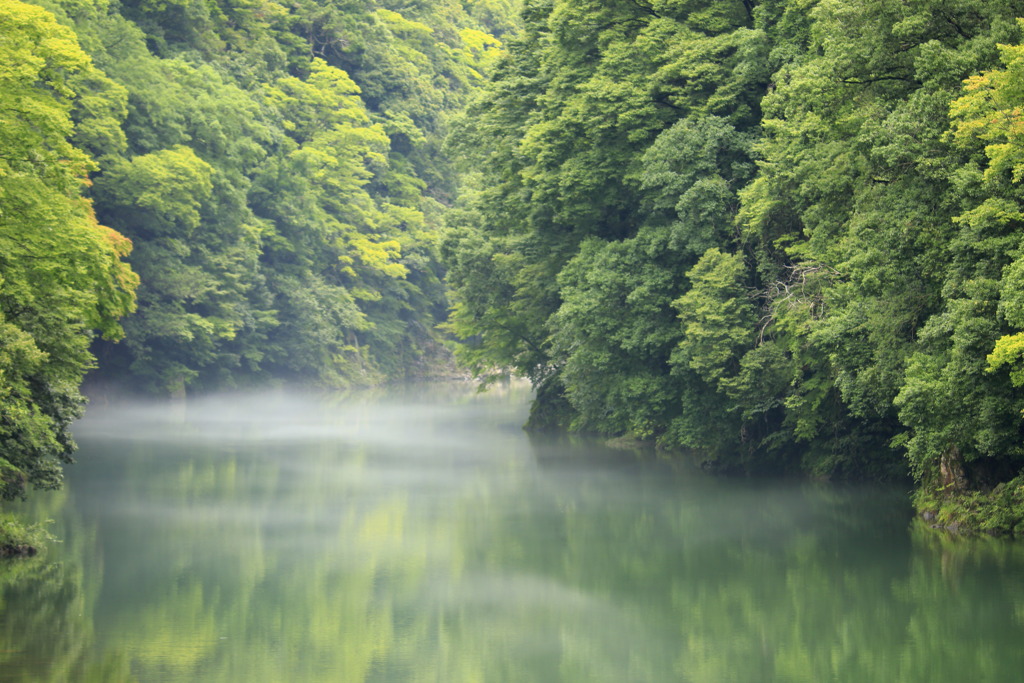 永源寺～蒸気霧