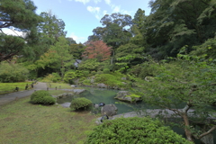 青蓮院門跡～相阿弥の庭