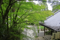 紫式部の見ていた風景