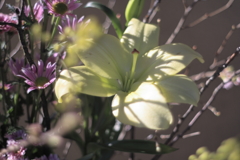 存在感