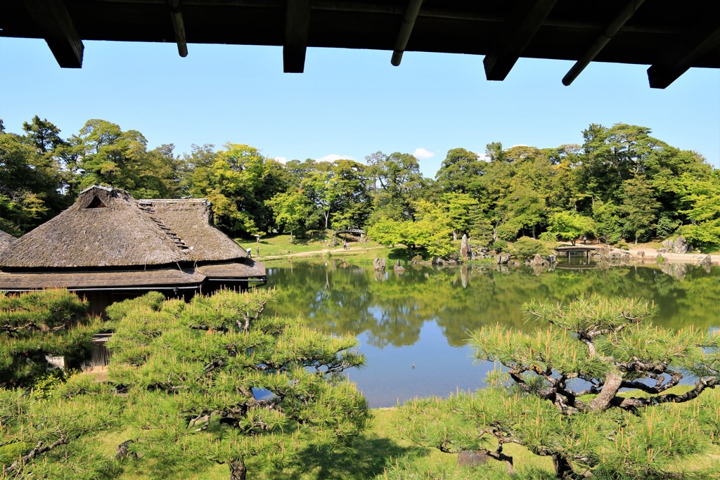 新緑の玄宮園