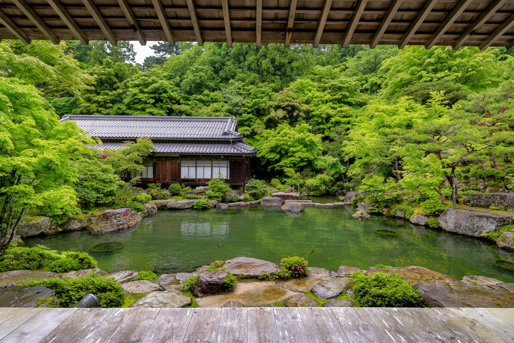 雨の百彩の庭