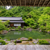 雨の百彩の庭