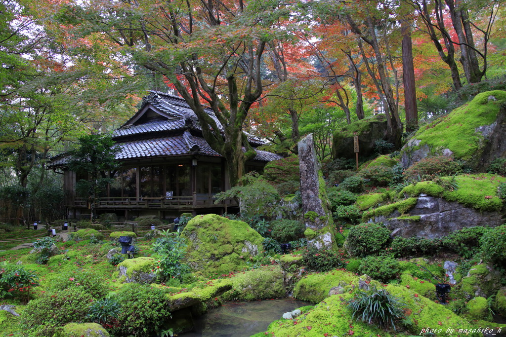 秋の隠れ里～石の庭園