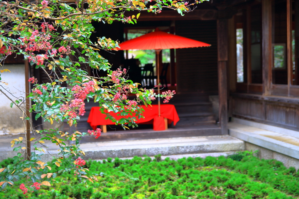 野点傘のある風景