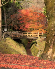 紅葉橋