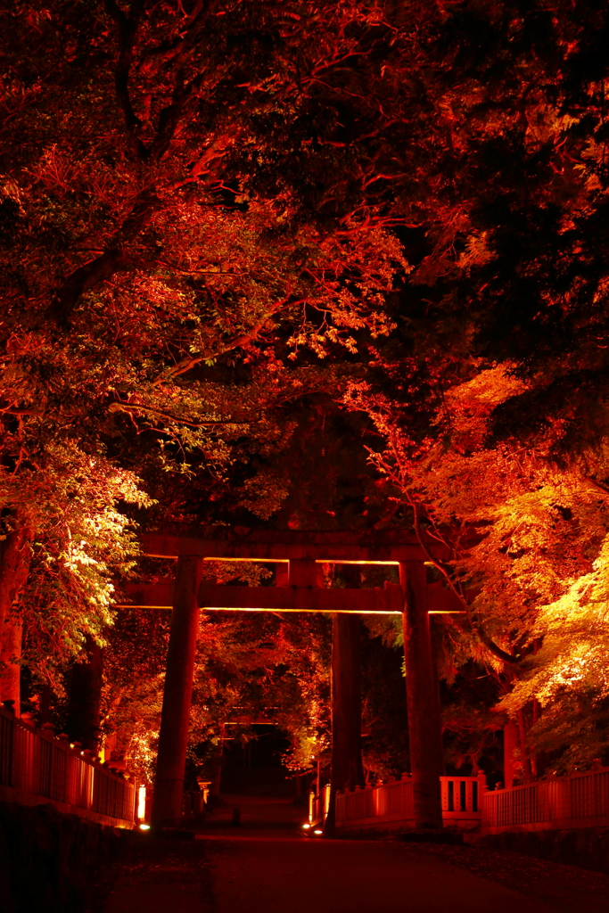 神あかり2019～燃ゆる大瀧神社