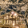 夜ニ紛レ
