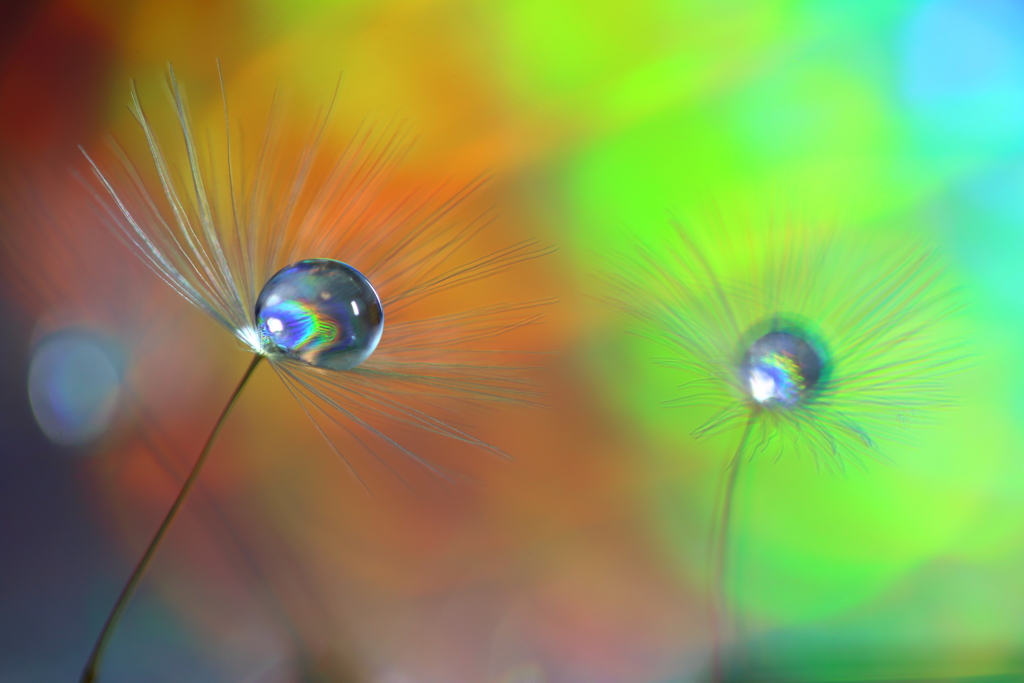 M's drops 35～Rainbow