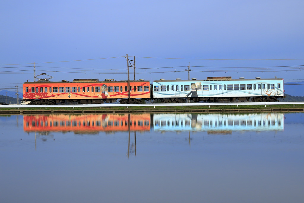 あかねreflection