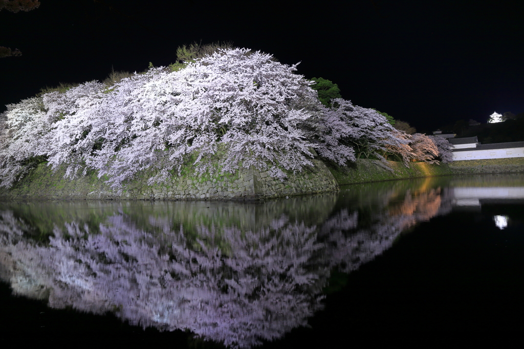 天空の彦根城