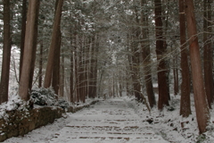 雪参道