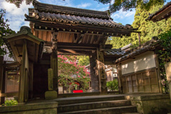 百日紅の花咲く山門