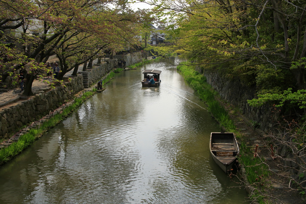 昼下がりの八幡堀にて