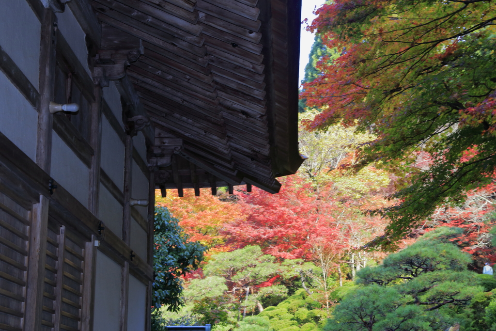 釈迦山の秋