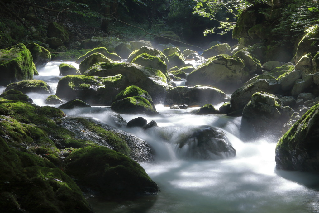 残暑お見舞い申し上げます～芹川上流にて