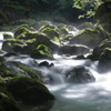残暑お見舞い申し上げます～芹川上流にて
