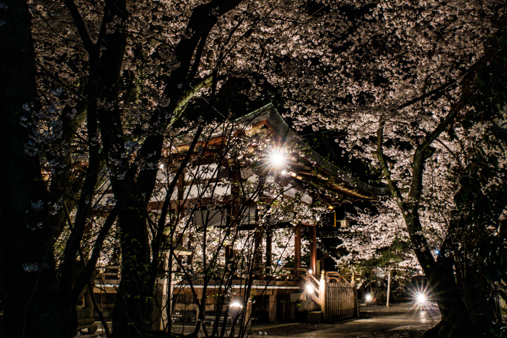 千本桜