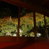 彩の夜②