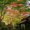 かくれ里の秋②
