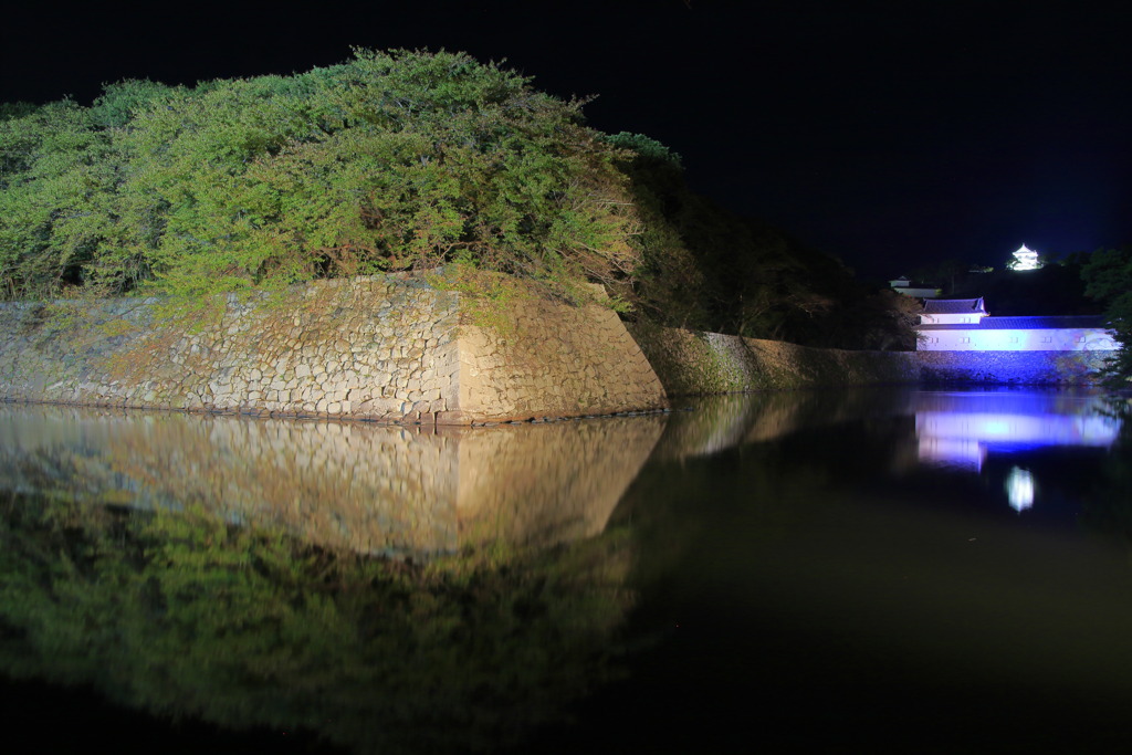 Dramatic Legacy～彦根城夜景