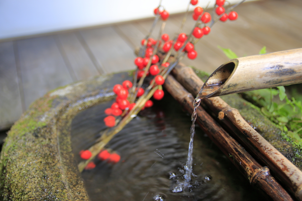 宝泉院の手水鉢　③