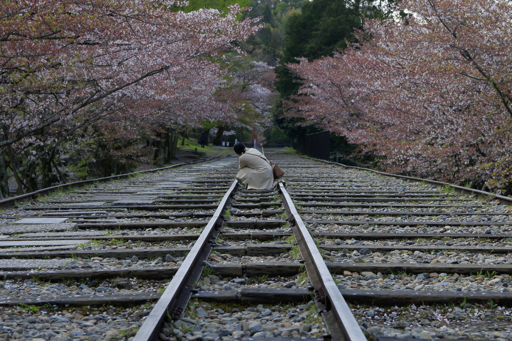 蹴上インクライン　ええの撮れました？