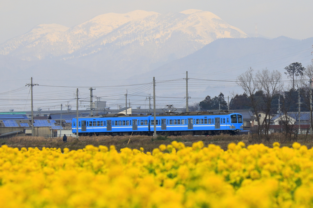 春色電車